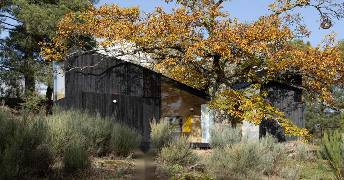 Chestnut House Cabin